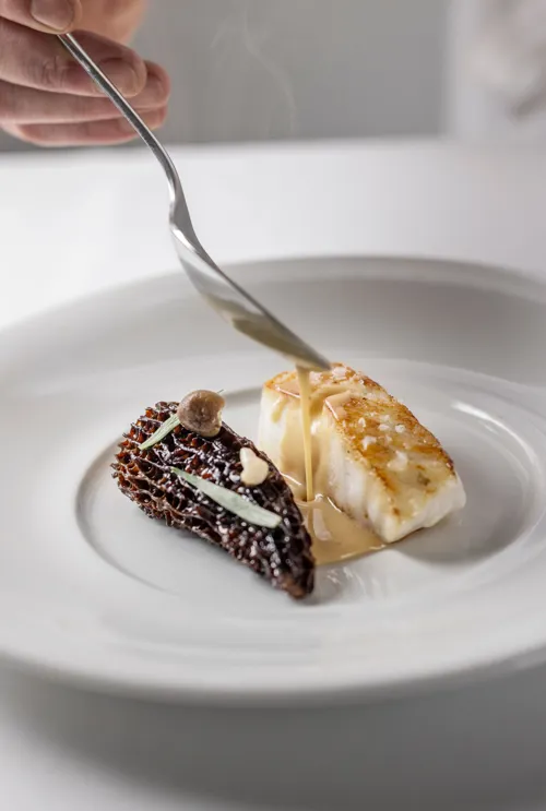 Restaurant-Havlit_Faaborg-Fjord_Gourmet fiskeret med svampe og souce anrettes.webp