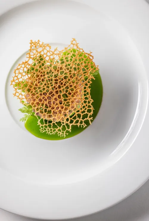 Restaurant-Havlit_Faaborg-Fjord_Stenbidderrogn med persille.webp